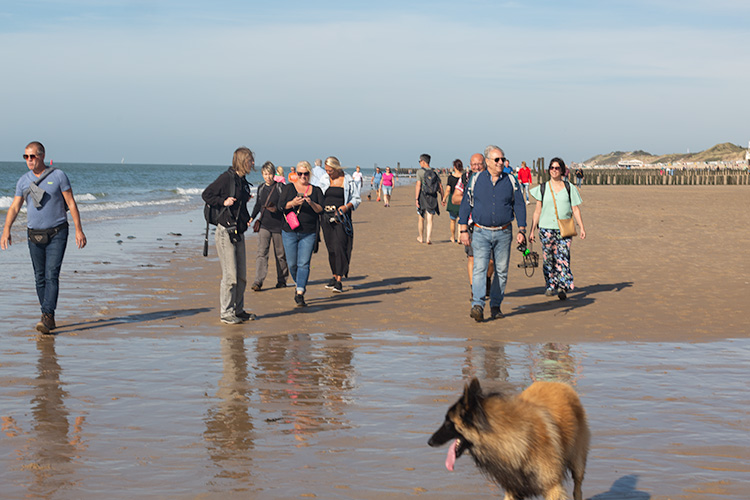 Wandeling Zoutelanden